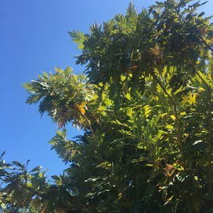 Meet your Posher, Susanne